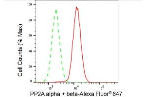 Flow cytometric analysis of PP2A alpha + beta expression in HAP-1 cells using PP2A alpha + beta antibody (ABIN7799891), 1:2,000). (Recombinant PP2A alpha/beta anticorps)