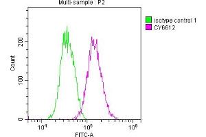Overlay histogram showing Jurkat cells stained with ABIN7127522 (red line) at 1:50.