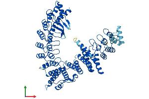 AlphaFold protein structure predicition of Mouse Recombinant Fem1b Protein, UniprotID Q9Z2G0