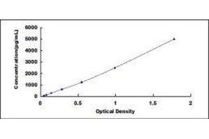 Nuclear Respiratory Factor 1 (NRF1) ELISA Kit