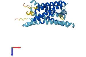 AlphaFold protein structure predicition of Mouse Recombinant Gpr31 Protein, UniprotID F8VQN3