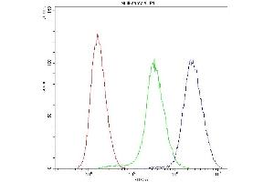 Flow Cytometry analysis of U251 cells using anti-PNP antibody (ABIN4886701). (PNP anticorps  (Middle Region))