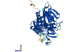 AlphaFold protein structure predicition of Human Recombinant BAAT Protein, UniprotID Q14032