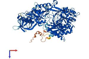 AlphaFold protein structure predicition of Human Recombinant AGO2 Protein, UniprotID Q9UKV8