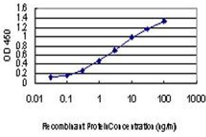 anti-Mitogen-Activated Protein Kinase Kinase Kinase 4 (MAP3K4) (AA 1201-1300) antibody