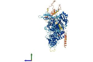 AlphaFold protein structure predicition of Human Recombinant PHKA1 Protein, UniprotID P46020