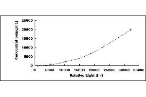 Interleukin 4 Induced 1 (IL4I1) CLIA Kit