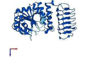 AlphaFold protein structure predicition of Mouse Recombinant Gmppb Protein, UniprotID Q8BTZ7