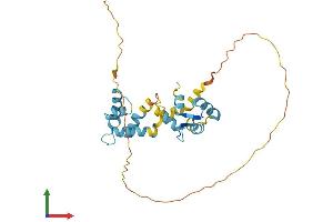 AlphaFold protein structure predicition of Human Recombinant CABP4 Protein, UniprotID P57796