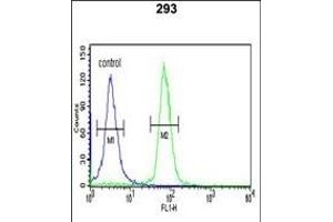 STK40 Antibody ( C-term ) (ABIN652973 and ABIN2842617) flow cytometric analysis of 293 cells (right histogram) compared to a negative control cell (left histogram). (STK40 anticorps  (C-Term))