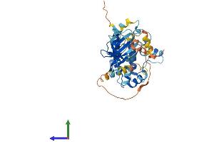 AlphaFold protein structure predicition of Mouse Recombinant Camk1 Protein, UniprotID Q91YS8