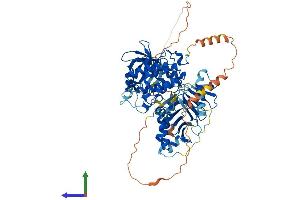 AlphaFold protein structure predicition of Mouse Recombinant Plk2 Protein, UniprotID P53351