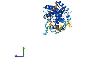 AlphaFold protein structure predicition of Human Recombinant CTU1 Protein, UniprotID Q7Z7A3