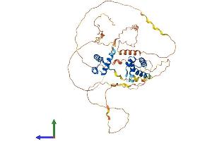 AlphaFold protein structure predicition of Mouse Recombinant Pou3f3 Protein, UniprotID P31361