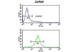 Flow cytometry analysis of Jurkat cells (bottom histogram) compared to a negative control cell (top histogram) using Interleukin-10/IL10 Antibody . (IL-10 anticorps  (Middle Region))