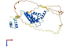 AlphaFold protein structure predicition of Human Recombinant KHDRBS2 Protein, UniprotID Q5VWX1