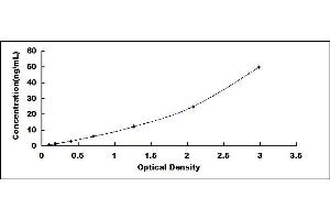 Typical standard curve (KPNB1 Kit ELISA)