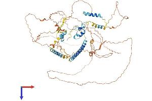 AlphaFold protein structure predicition of Human Recombinant ZBBX Protein, UniprotID A8MT70