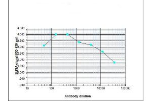 ELISA results of H3K27me1 antibody ELISA results of H3K27me1 antibody.