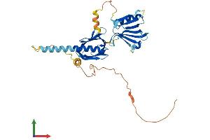 AlphaFold protein structure predicition of Human Recombinant DOK6 Protein, UniprotID Q6PKX4