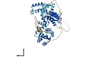 AlphaFold protein structure predicition of Mouse Recombinant Ak5 Protein, UniprotID Q920P5