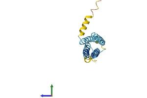 AlphaFold protein structure predicition of Human Recombinant PLP2 Protein, UniprotID Q04941