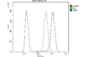 Flow Cytometry analysis of SiHa cells using anti-CD55 antibody (ABIN3043393). (CD55 anticorps  (AA 35-347))