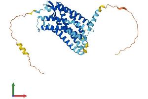 AlphaFold protein structure predicition of Mouse Recombinant Cxcr3 Protein, UniprotID O88410