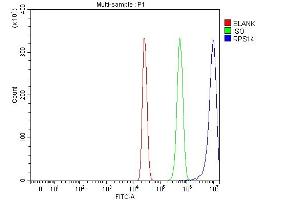 Flow Cytometry analysis of HepG2 cells using anti-RPS14 antibody (ABIN7599005). (RPS14 anticorps  (AA 1-151))