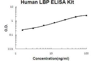 Human LBP PicoKine ELISA Kit standard curve (LBP Kit ELISA)