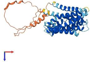 AlphaFold protein structure predicition of Human Recombinant SLC39A11 Protein, UniprotID Q8N1S5