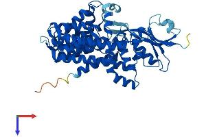 AlphaFold protein structure predicition of Mouse Recombinant Alg12 Protein, UniprotID Q8VDB2