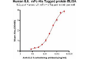 ELISA plate pre-coated by 2 μg/mL (100 μL/well) Human IL6, mFc-His tagged protein (ABIN6961105, ABIN7042239 and ABIN7042240) can bind Anti-IL6 Neutralizing antibody ABIN6964420 and ABIN7272556 in a linear range of 7.