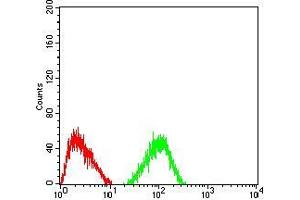 Flow cytometric analysis of HepG2 cells using TRAF2 mouse mAb (green) and negative control (red).