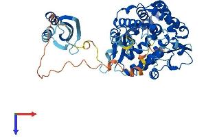 AlphaFold protein structure predicition of Mouse Recombinant Tph2 Protein, UniprotID Q8CGV2