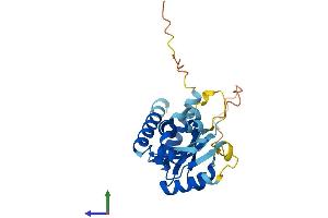 AlphaFold protein structure predicition of Human Recombinant C21orf140 Protein, UniprotID B9A014