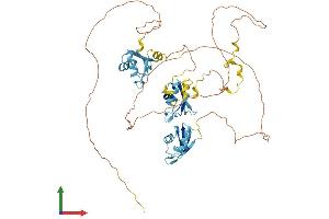 AlphaFold protein structure predicition of Mouse Recombinant Myef2 Protein, UniprotID Q8C854