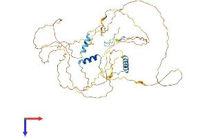 AlphaFold protein structure predicition of Human Recombinant GPBP1 Protein, UniprotID Q86WP2