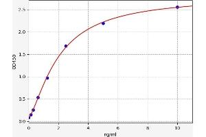 Typical standard curve (B4GALT5 Kit ELISA)