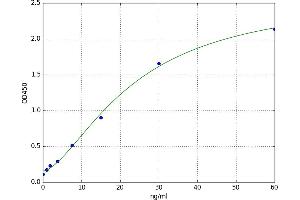 Insulin Receptor beta (ISR-beta) ELISA Kit