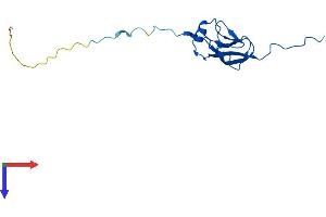 AlphaFold protein structure predicition of Human Recombinant MRPL27 Protein, UniprotID Q9P0M9