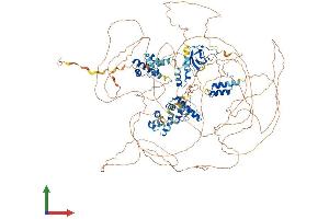 AlphaFold protein structure predicition of Human Recombinant SASH1 Protein, UniprotID O94885