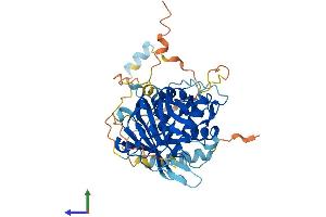 AlphaFold protein structure predicition of Human Recombinant USP27X Protein, UniprotID A6NNY8