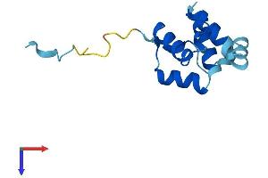 AlphaFold protein structure predicition of Human Recombinant CNFN Protein, UniprotID Q9BYD5