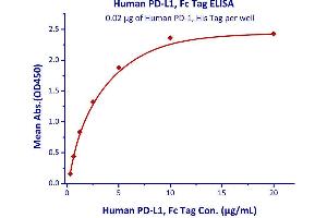 Immobilized Human PD-1, His Tag  with a linear range of 0. (PD-L1 Protein (AA 19-238) (Fc Tag))