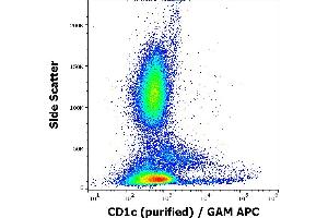 Flow cytometry surface staining pattern of human peripheral whole blood stained using anti-human CD1c (L161) purified antibody (concentration in sample 0,33 μg/mL, GAM APC). (CD1c anticorps)