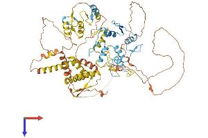 AlphaFold protein structure predicition of Human Recombinant ZBTB16 Protein, UniprotID Q05516