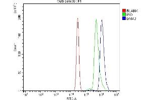 Flow Cytometry analysis of U937 cells using anti-Dynamin 2/DNM2 antibody (ABIN7601862). (DNM2 anticorps  (AA 498-785))