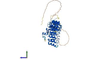AlphaFold protein structure predicition of Mouse Recombinant Fbxl7 Protein, UniprotID Q5BJ29