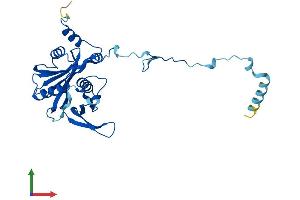AlphaFold protein structure predicition of Human Recombinant RPF2 Protein, UniprotID Q9H7B2